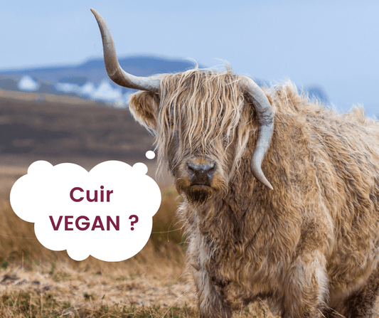 cuir vegan et cuir végétal différence