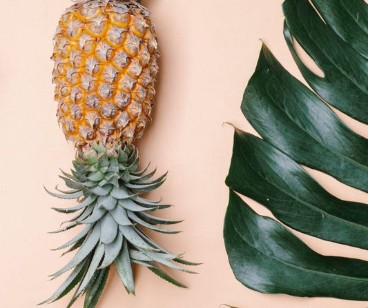 Pinatex ananas alternative cuir vegan éco-responsable 