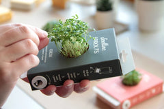 Livre de culture Scrollino Sprouts - Cresson