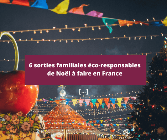 6 sorties familiales éco-responsables pour Noël à faire en France 