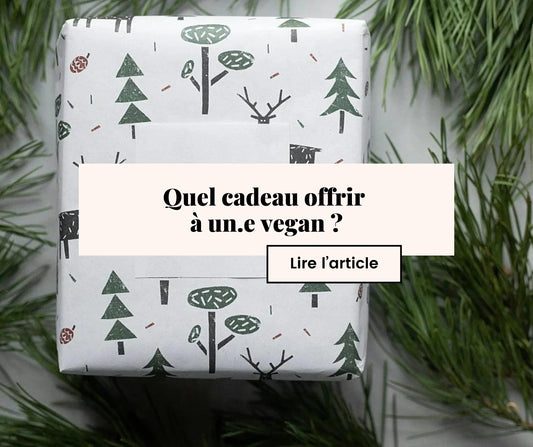 Quel cadeau offrir à un.e vegan ? 20 idées de cadeaux pour vos proches