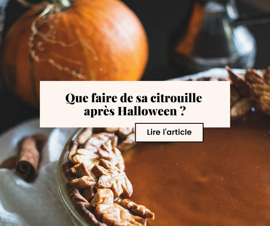Que faire de sa citrouille après Halloween ? Nos astuces zéro déchet.