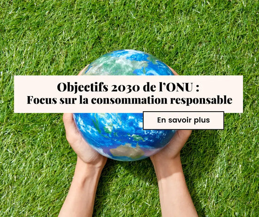 Objectifs de l’ONU pour 2030