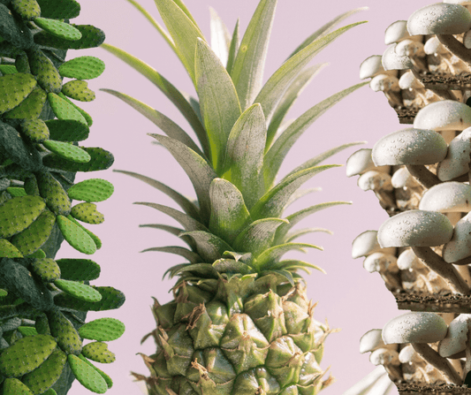 quelles matières alternatives au cuir