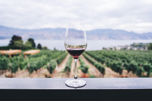 vin bio, nature, quelles différences?
