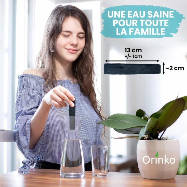 Charbon Actif de Purification x1 - 100% Français