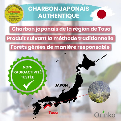 Binchotan Japonais de TOSA X6 - Charbon Actif Binchotan