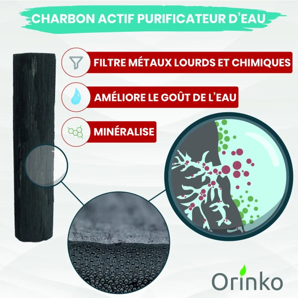 Charbon actif Binchotan - Filtre à eau