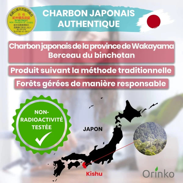 Binchotan Japonais de Kishu X3 – Charbon Actif pour Purification