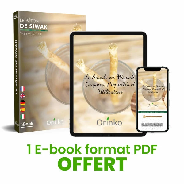 Bâtons de Siwak x2 - Brosse à dents 100% naturelle