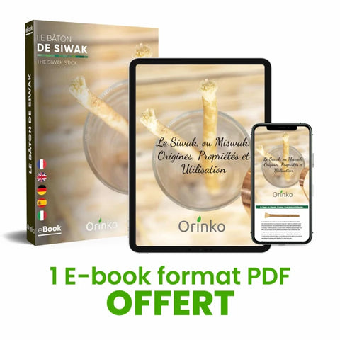 Bâtons de Siwak x2 - Brosse à dents 100% naturelle
