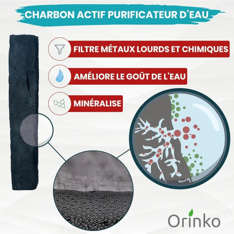 Charbon actif de purification x3 - 100% français