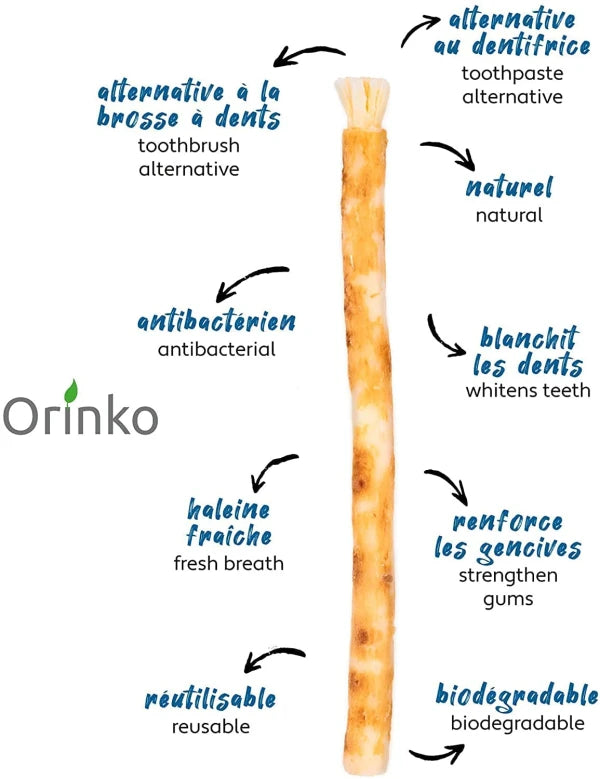 Bâtons de Siwak (Miswak) X12 - Brosse à Dents 100% Naturelle