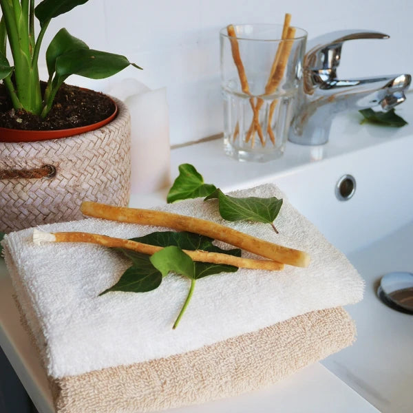 Bâtons de Siwak (Miswak) X12 - Brosse à Dents 100% Naturelle
