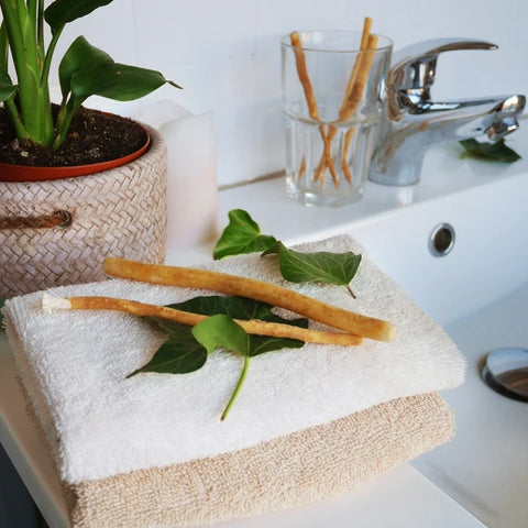 Bâtons de Siwak (Miswak) X12 - Brosse à Dents 100% Naturelle