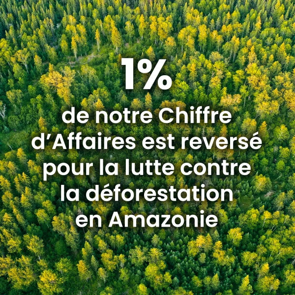 Takesumi Charbon Actif de Bambou x5 (XL)