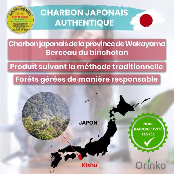 Binchotan Japonais de Kishu 3X (boîte) | Région de Wakayama