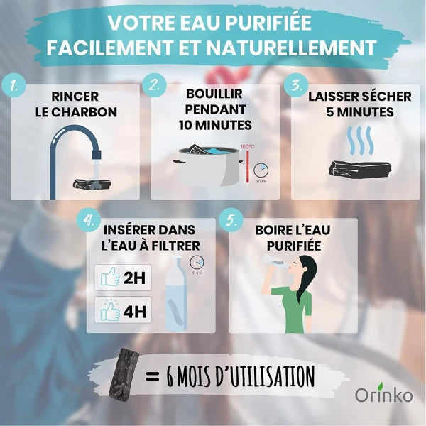 Binchotan Japonais de Kishu 5X (boîte) | Chêne Ubame