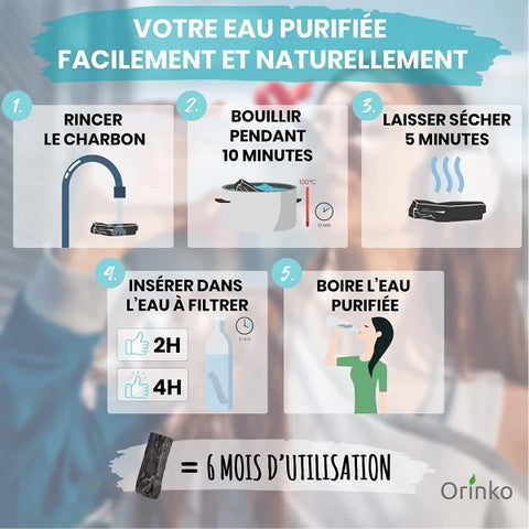 Binchotan Japonais de Kishu 5X (boîte) | Chêne Ubame