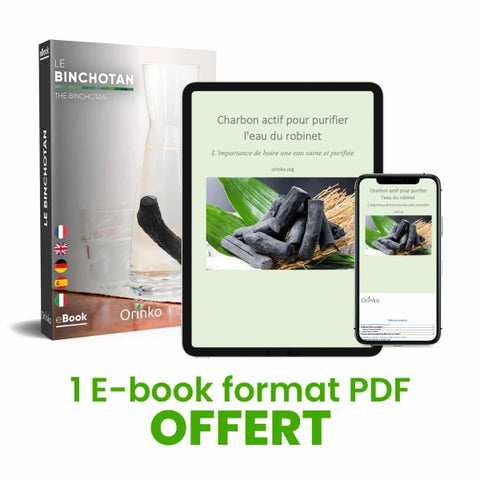 Binchotan Japonais de Kishu 5X (boîte) | Chêne Ubame