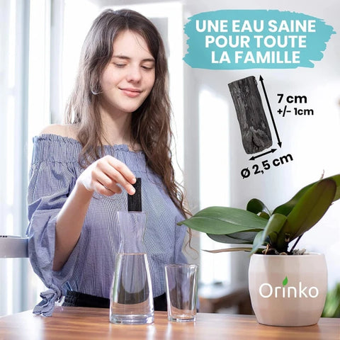 Binchotan Japonais de Kishu 5X (boîte) | Chêne Ubame