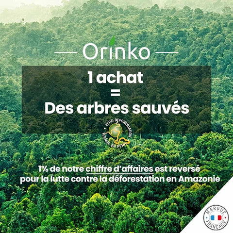 Binchotan Japonais de Kishu 5X (boîte) | Chêne Ubame