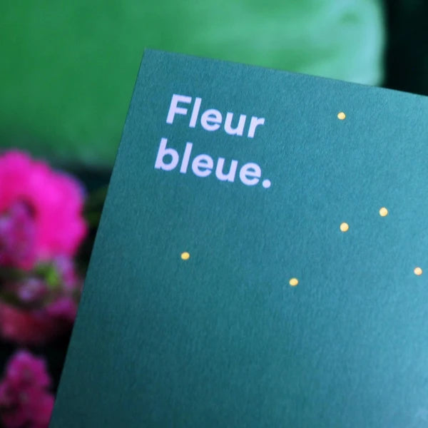 Le Soleil et ses Fleurs – 1001 Livres