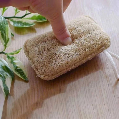 Éponge naturelle et biodégradable en luffa en vrac