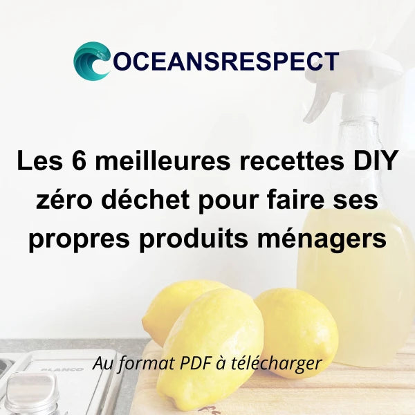 Les 6 meilleures recettes DIY zéro déchet pour faire ses propres produits ménagers