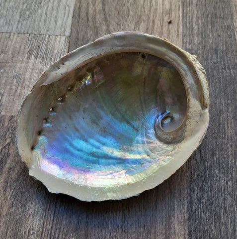 Ceremonial Abalone Shell