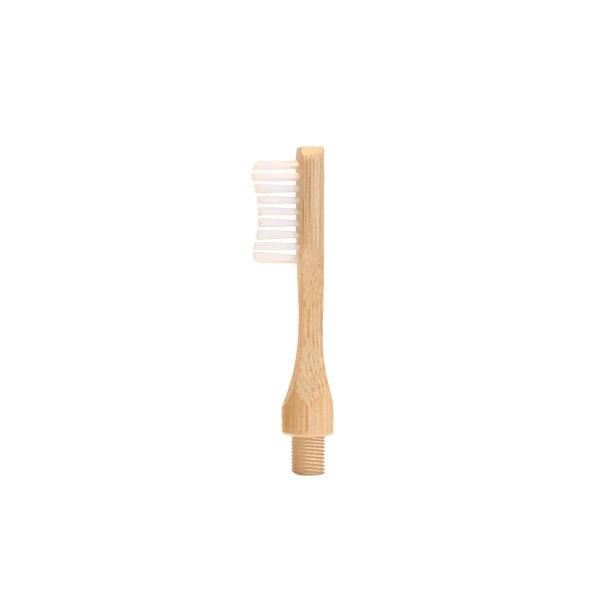 Brosse à dents à tête interchangeable en bambou