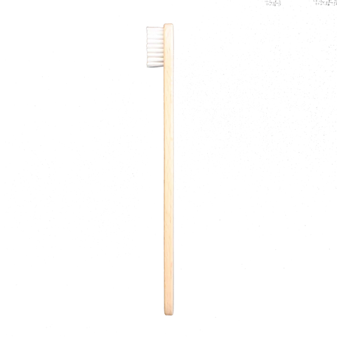 Brosse à dents en bois de hêtre
