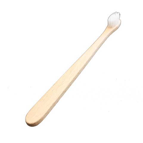 Brosse à dents en bois de hêtre