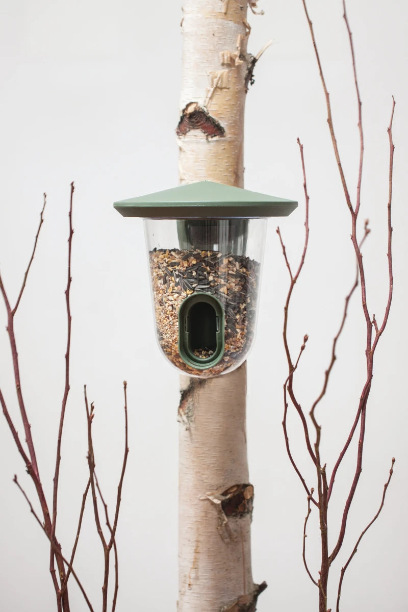 Mangeoire FeedR pour oiseaux