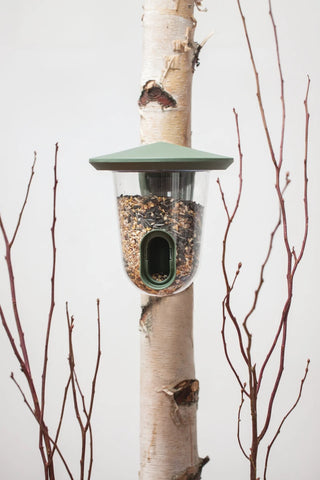 Mangeoire FeedR pour oiseaux