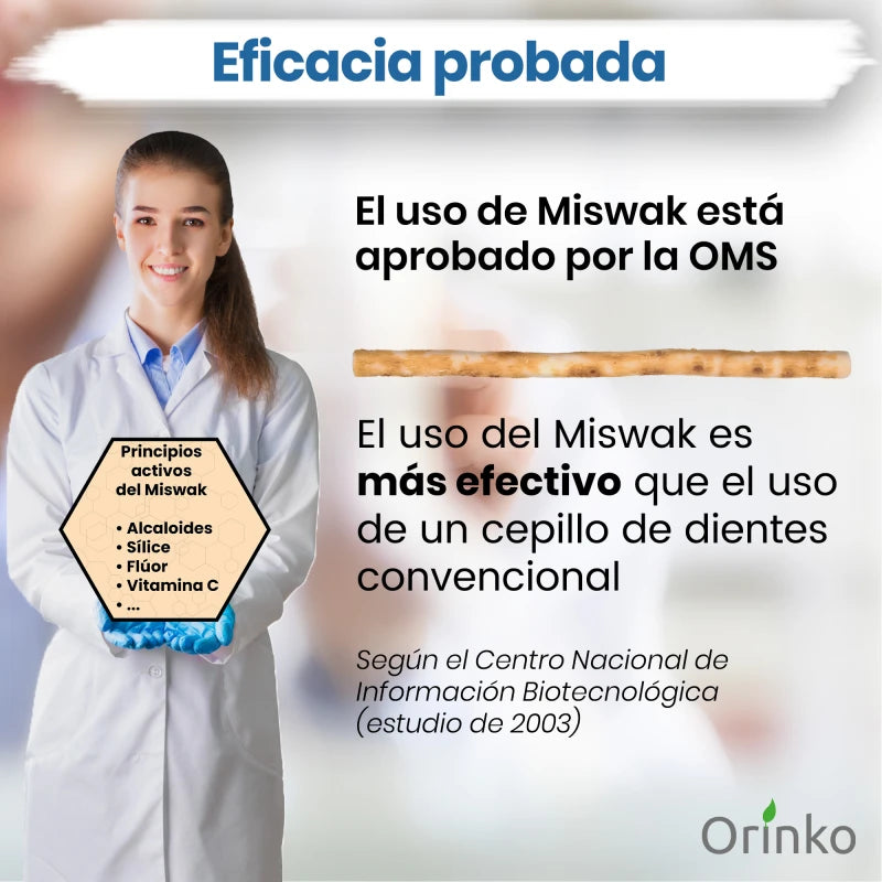 Siwak x4 avec 4 Étuis de Protection – Brosse à Dents 100% Naturelle – Nettoyant, Désinfectant et Blanchissant - Écologique, Biodégradable et Végan – Ebook Offert