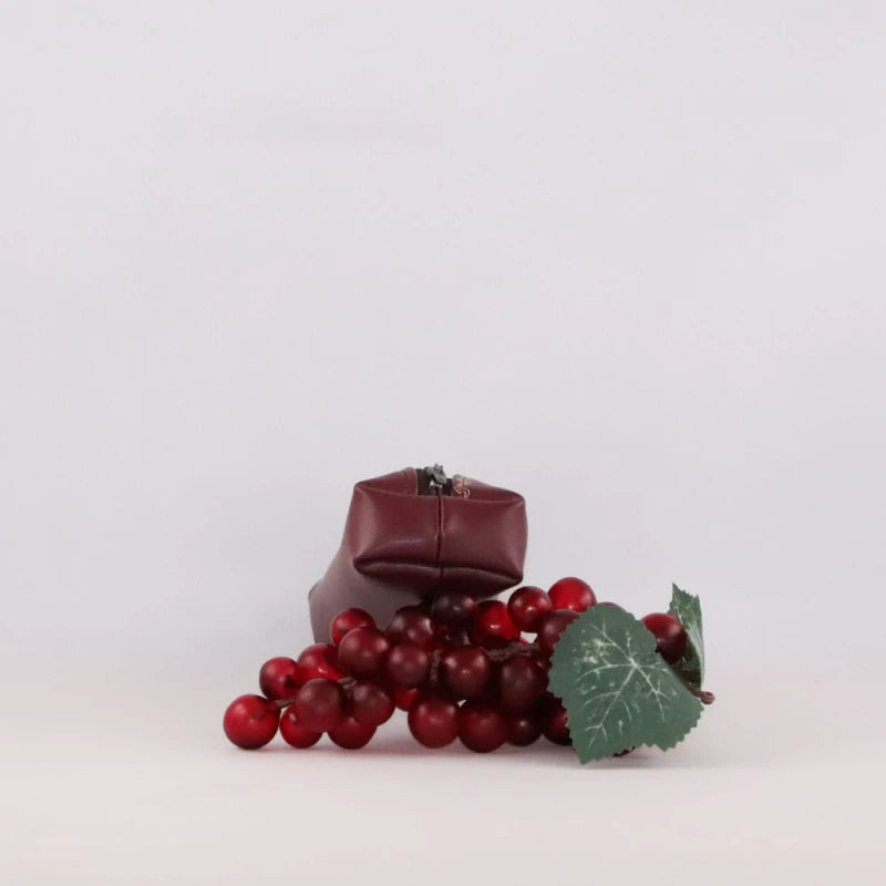 Petite trousse en alter-cuir de raisin