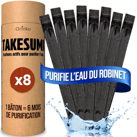 Takesumi Charbon Actif de Bambou x8