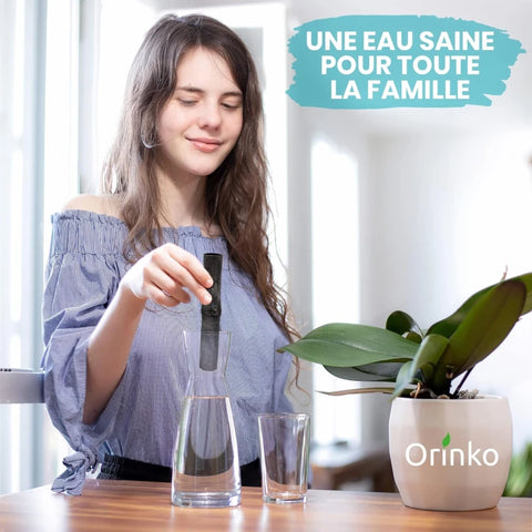 Takesumi Charbon Actif de Bambou x6 (XL)