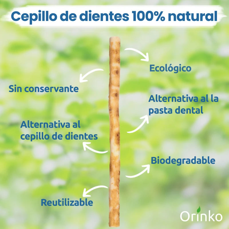 1 Bâton de Siwak avec Étui de protection – Brosse à Dents 100% Naturelle – Nettoyant, Désinfectant et Blanchissant - Écologique, Biodégradable et Végan – Ebook Offert