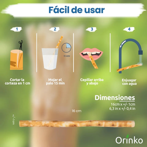 1 Bâton de Siwak avec Étui de protection – Brosse à Dents 100% Naturelle – Nettoyant, Désinfectant et Blanchissant - Écologique, Biodégradable et Végan – Ebook Offert