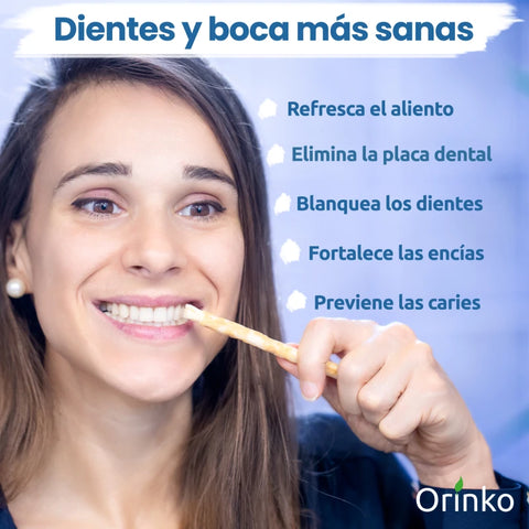 1 Bâton de Siwak avec Étui de protection – Brosse à Dents 100% Naturelle – Nettoyant, Désinfectant et Blanchissant - Écologique, Biodégradable et Végan – Ebook Offert