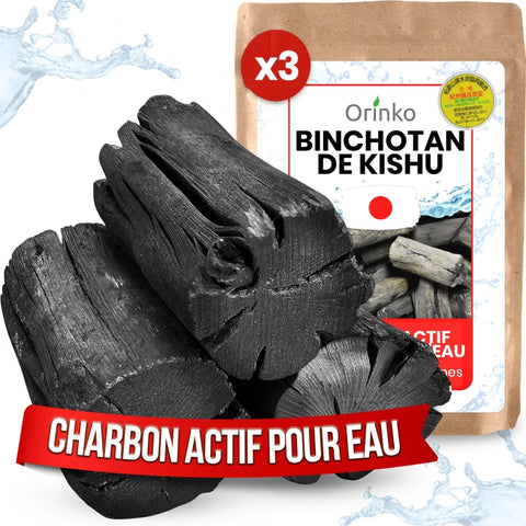 Binchotan Japonais de Kishu X3 – Charbon Actif pour Purification