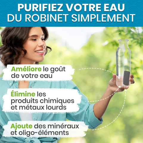 Binchotan Japonais de Kishu X3 – Charbon Actif pour Purification