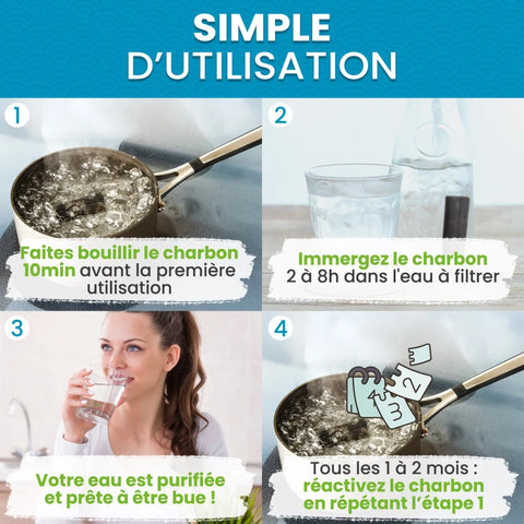 Binchotan Japonais de Kishu X3 – Charbon Actif pour Purification