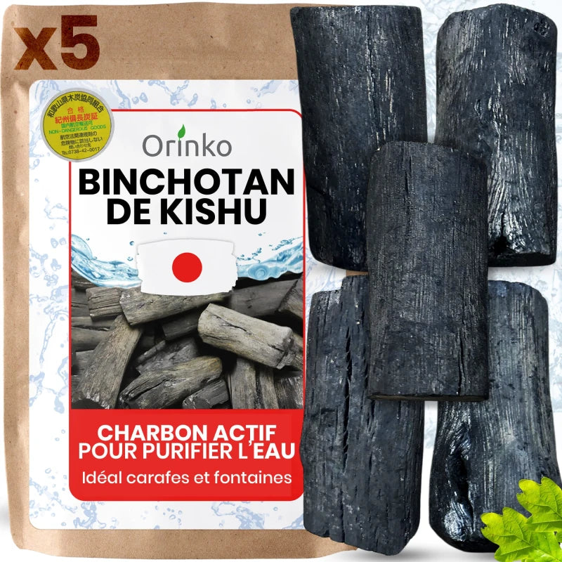 Binchotan Japonais de Kishu 5X Taille M (entre 20 & 50g par charbon)