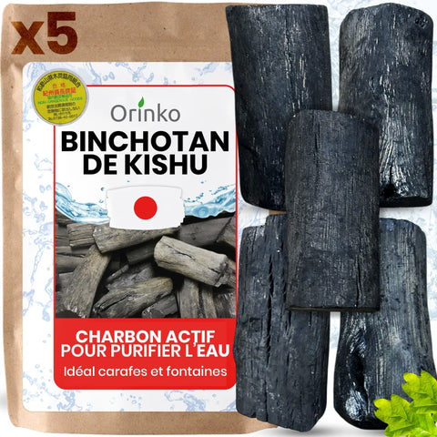 Binchotan Japonais de Kishu 5X Taille M (entre 20 & 50g par charbon)
