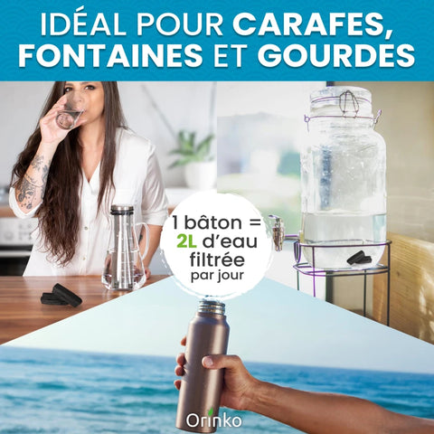 Binchotan Japonais de Kishu 5X Taille M (entre 20 & 50g par charbon)