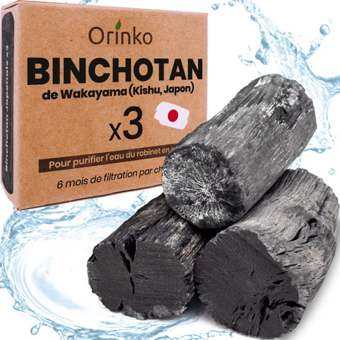 Binchotan Japonais de Kishu 3X (boîte) | Région de Wakayama