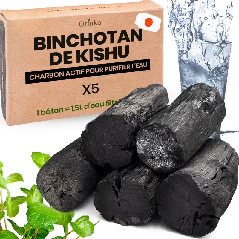 Binchotan Japonais de Kishu 5X (boîte) | Chêne Ubame